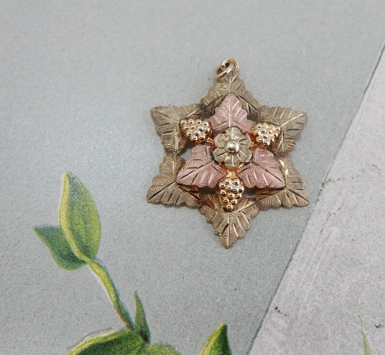 12k /& 10k Black Hills Gold Star Shaped Leaf Pendant Necklace PAB11
