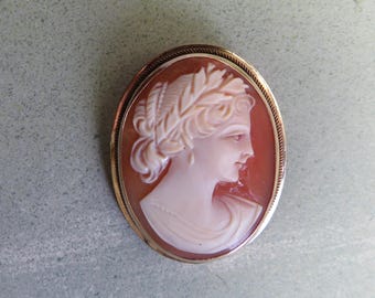 Könnte beinhalten: Ovale Kamee-Brosche mit dem Profil einer Frau mit Lorbeerkranz, geschnitzt in hellem Rosa vor einem rotbraunen Hintergrund. Die Kamee ist in einem goldfarbenen Metallrahmen gefasst.