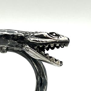 Könnte beinhalten: Ein silberner Ring mit einem detaillierten Drachendesign. Der Ring hat ein strukturiertes Band und einen Drachenkopf mit offenem Maul. Der Drachenkopf ist silberfarben und das Band ist aus dunklerem, strukturiertem Metall. Auf weißem Hintergrund.
