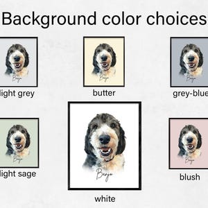Puede incluir: La imagen muestra una selecci&oacute;n de retratos de perros enmarcados con diferentes colores de fondo: gris claro, mantequilla, gris-azul, verde salvia claro, blanco y rubor. Cada retrato presenta un perro blanco y negro con el nombre "Baya" escrito debajo.