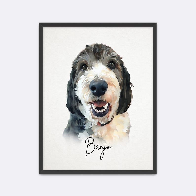 Puede incluir: Retrato en acuarela enmarcado de un perro con pelaje blanco y negro, sonriendo con la boca abierta. El nombre del perro, "Banjo", est&aacute; escrito en cursiva debajo. La obra de arte est&aacute; sobre un fondo blanco.