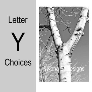 May include: Black and white photograph of a tree trunk with a Y-shaped split. The bark is light-colored with dark markings. The image also includes the text "Letter Y Choices" in black font.