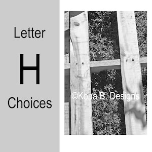 Letter H  -  Alphabet Photography  -  4x6 Photo Letter -  Unframed - Black and White or Sepia
