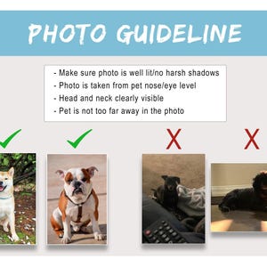 Puede incluir: Imagen titulada "PHOTO GUIDELINE" con texto que explica los requisitos fotogr&aacute;ficos para mascotas. Incluye ejemplos de fotos buenas y malas. El texto aconseja fotos bien iluminadas, tomadas a la altura de los ojos de la mascota.