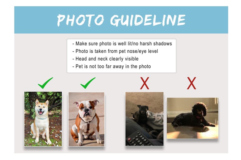 Puede incluir: Imagen titulada "PHOTO GUIDELINE" con texto que explica los requisitos fotogr&aacute;ficos para mascotas. Incluye ejemplos de fotos buenas y malas. El texto aconseja fotos bien iluminadas, tomadas a la altura de los ojos de la mascota.