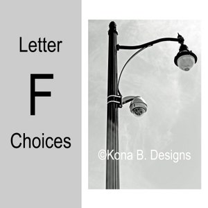 Letter F  -  Alphabet Photography  -  4x6 Photo Letter -  Unframed - Black and White or Sepia