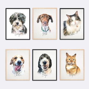 Puede incluir: Seis retratos de mascotas en acuarela enmarcados. Los retratos presentan perros y gatos con nombres como George, Max, Calico, Charlie, Banjo y Ginger. Cada retrato tiene un estilo de marco diferente.