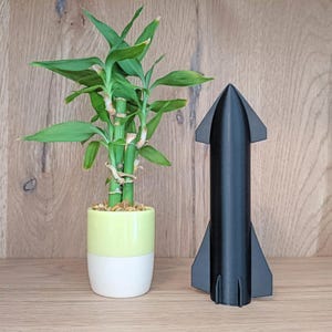 May include: A black, 3D-printed model of a rocket ship stands next to a potted lucky bamboo plant. The rocket has a sleek, aerodynamic design. The bamboo plant has vibrant green leaves and stalks, and is potted in a two-tone yellow and white ceramic pot.