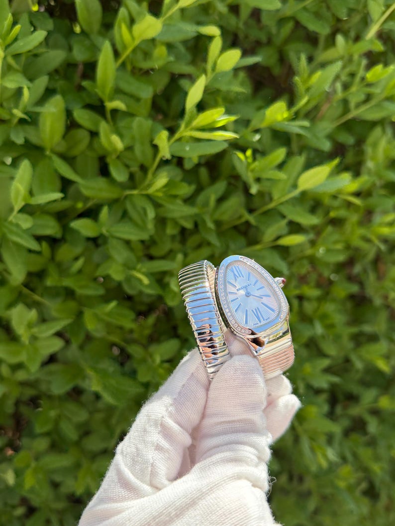 May include: A silver and rose gold wristwatch with a unique oval face and a matching flexible band. The watch face is light blue with silver hands and hour markers. The watch is held by a gloved hand against a backdrop of green foliage.