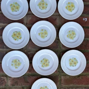 Daisy plates . English ironstone . Set of five . Ironstone plates . Staffordshie England . Dessert plates . Grandmillenial style . Gift