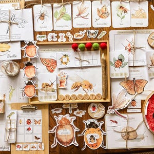 Zweisprachiges Insekten-Lehrpaket (Spanisch-Englisch) | Druckbare Aktivitäten 2–5 Jahre | Montessori zu Hause
