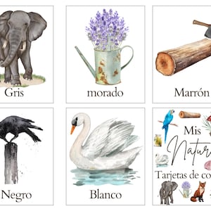 Tarjetas Montessori de 3 Partes – Colores de la Naturaleza inglés  y español| Material Educativo para Niños,Familias y Profesores