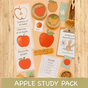 Unità di studio sulle mele per la scuola domestica, materiale stampabile autunnale, pacchetto di studio sulla natura di Charlotte Mason, attività per la scuola materna sull&#39;albero di mele, anatomia del ciclo di vita di una mela