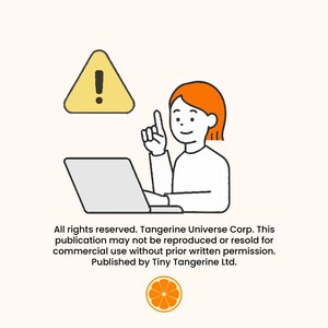 Master Python Programming – Beginner to Pro | Python Bootcamp Course | Step by Step Tutorial | Digital Download by Tangerine Universe image 5