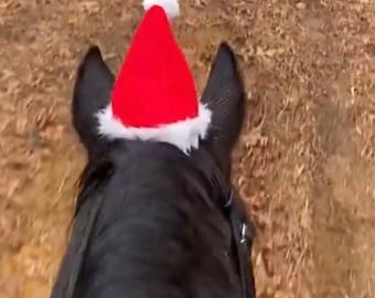 Santa Hat For Horses