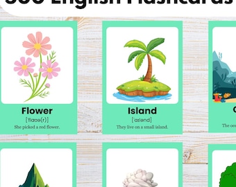 500 Digital Flashcards PDF