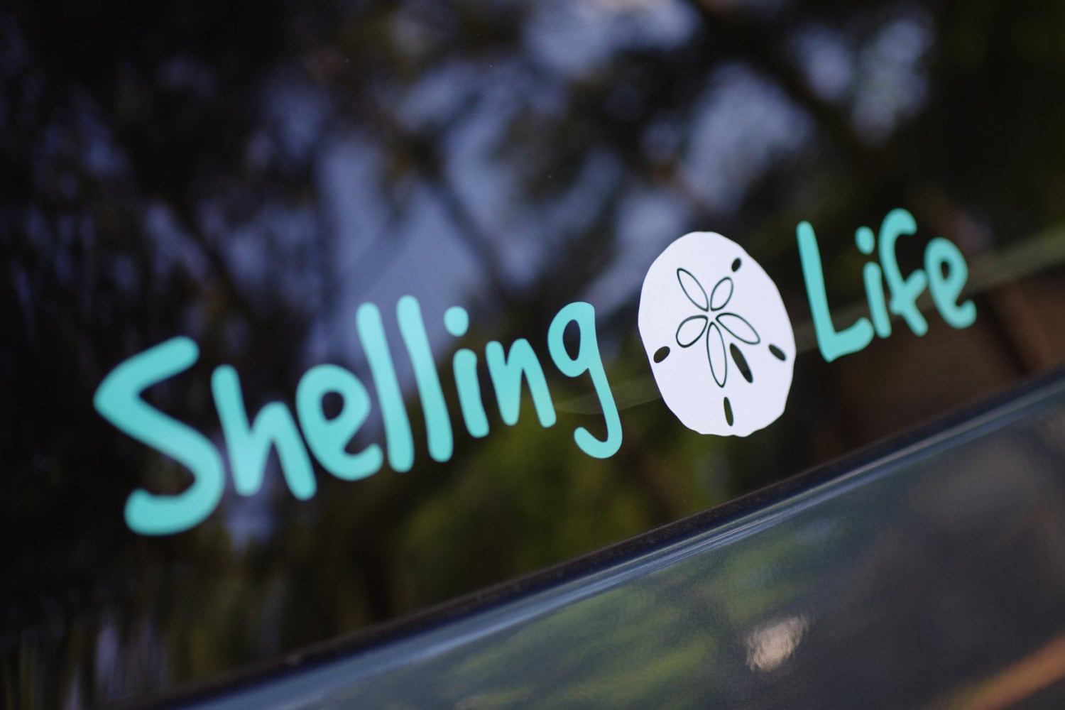 Shelling Life®  Vinyl Decal - Beach Decal - Shell Decal - Car Decal