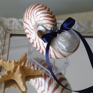 Beach Wedding Nautilus Shell Ring Bearer Pillow image 2