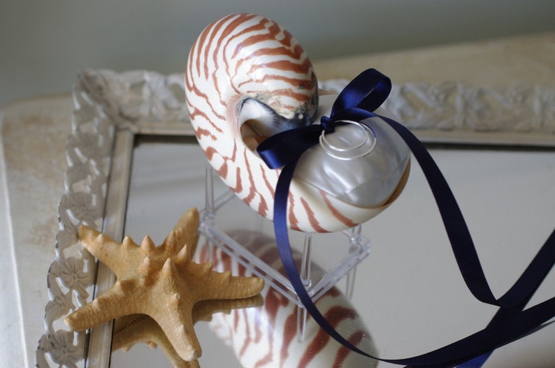 Beach Wedding Nautilus Shell Ring Bearer Pillow image 2