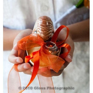Beach Wedding Nautilus Shell Eco Ring Bearer Pillow