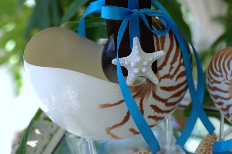 Beach Wedding Matching Nautilus Shell Eco Flower Girl Shell Basket and Nautilus Shell Ring Bearer Pillow image 2