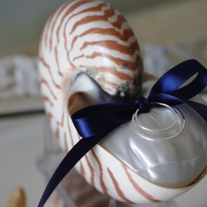 Beach Wedding Nautilus Shell Ring Bearer Pillow image 3