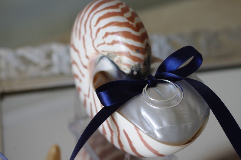 Beach Wedding Nautilus Shell Ring Bearer Pillow image 3