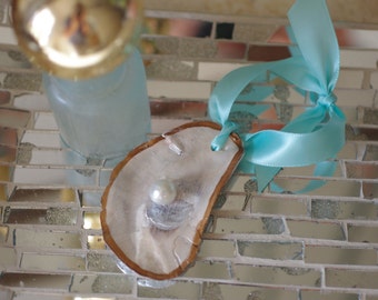 Oyster Shell Christmas Ornament Set- Holiday Ornament - Pick Your Ribbon