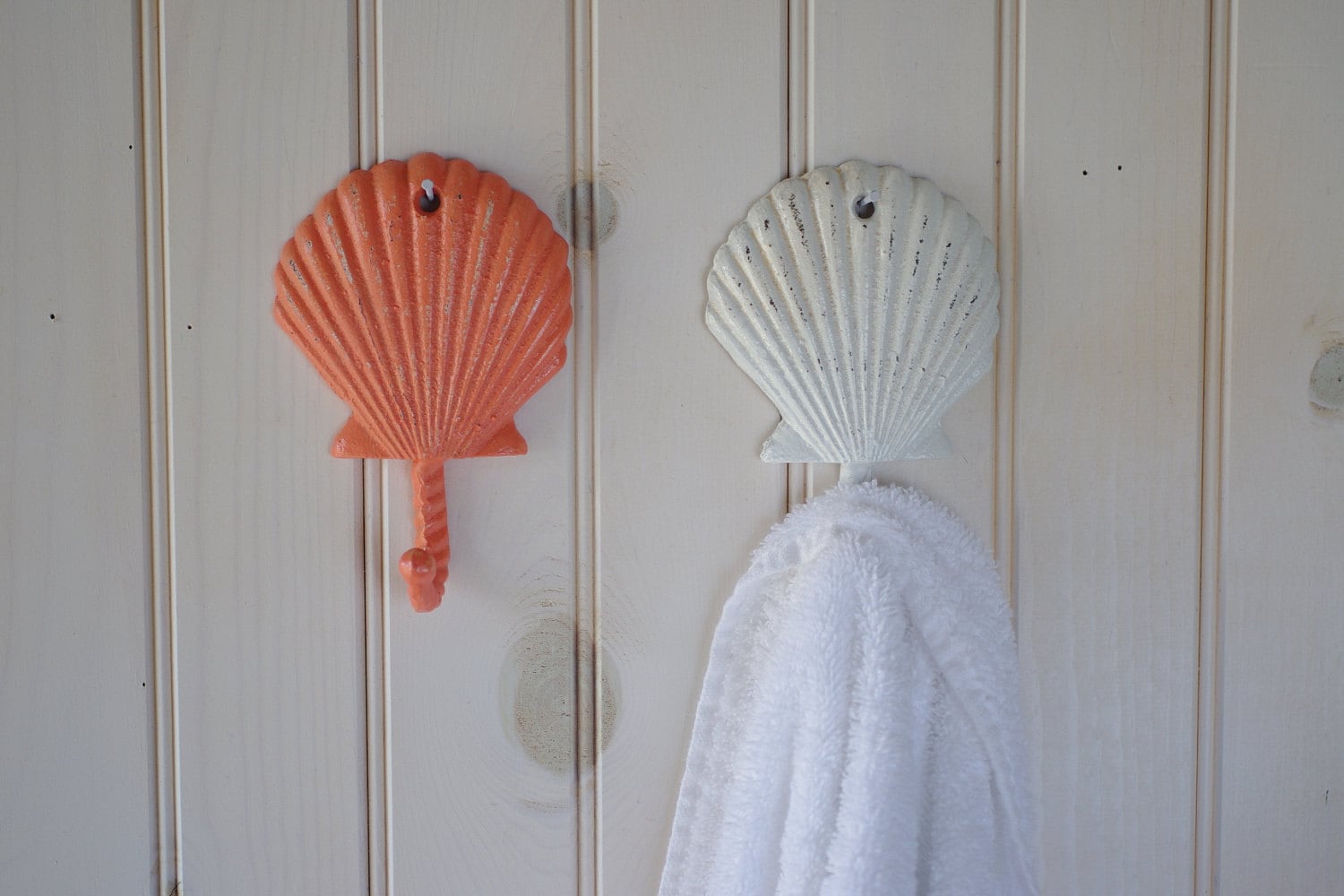 Seashell Wall Hook Etsy