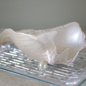 Conch Shell Trinket Dish image 2