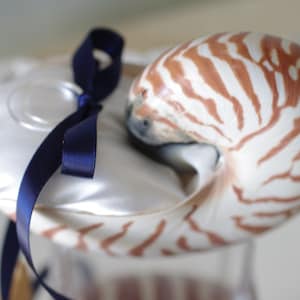 Beach Wedding Nautilus Shell Ring Bearer Pillow image 1