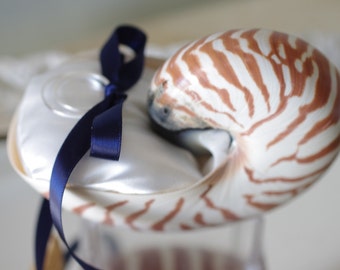 Strand Hochzeit Nautilus Muschel Ring Inhaberaktien Kissen