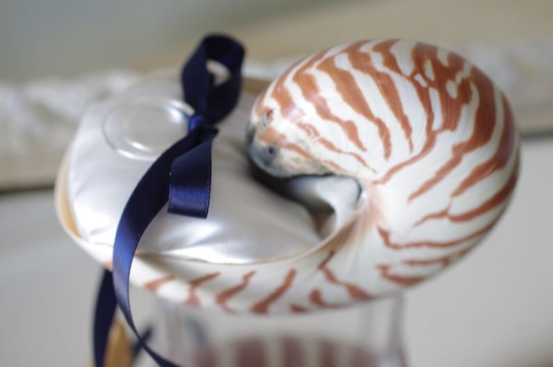 Beach Wedding Nautilus Shell Ring Bearer Pillow image 1