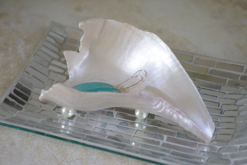 Conch Shell Trinket Dish image 3