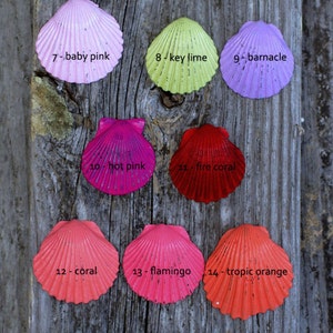 May include: A collection of twenty painted scallop seashells in various colors, including white, sand, pearl, and hot pink. Each shell is labeled with a number and color name, arranged on a weathered wooden surface.