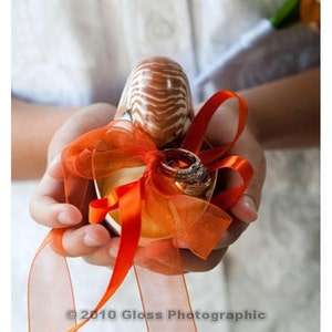 Beach Wedding Matching Nautilus Shell Eco Flower Girl Shell Basket and Nautilus Shell Ring Bearer Pillow image 5