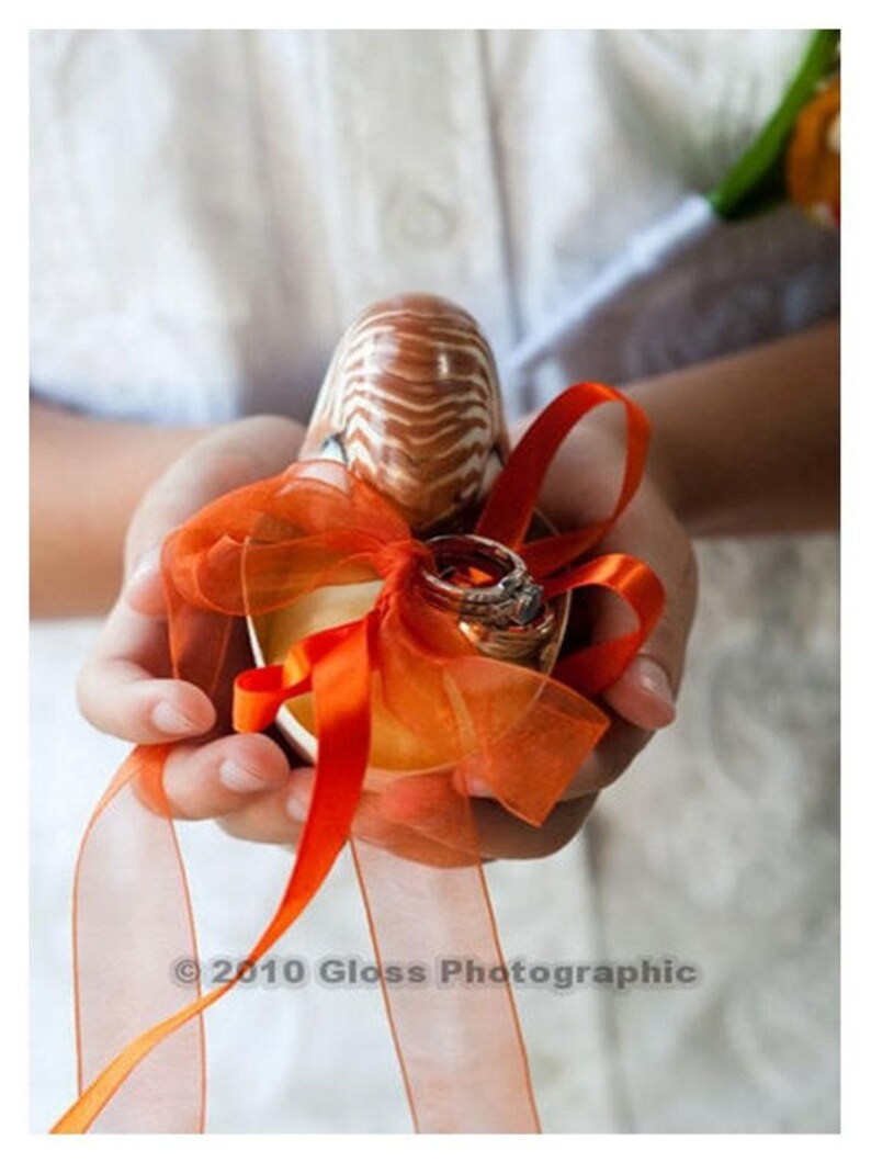 Beach Wedding Matching Nautilus Shell Eco Flower Girl Shell Basket and Nautilus Shell Ring Bearer Pillow image 5