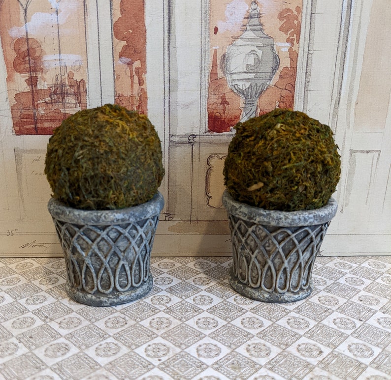 Pair of Moss Spheres Topiary in Faux Concrete Planters Etsy