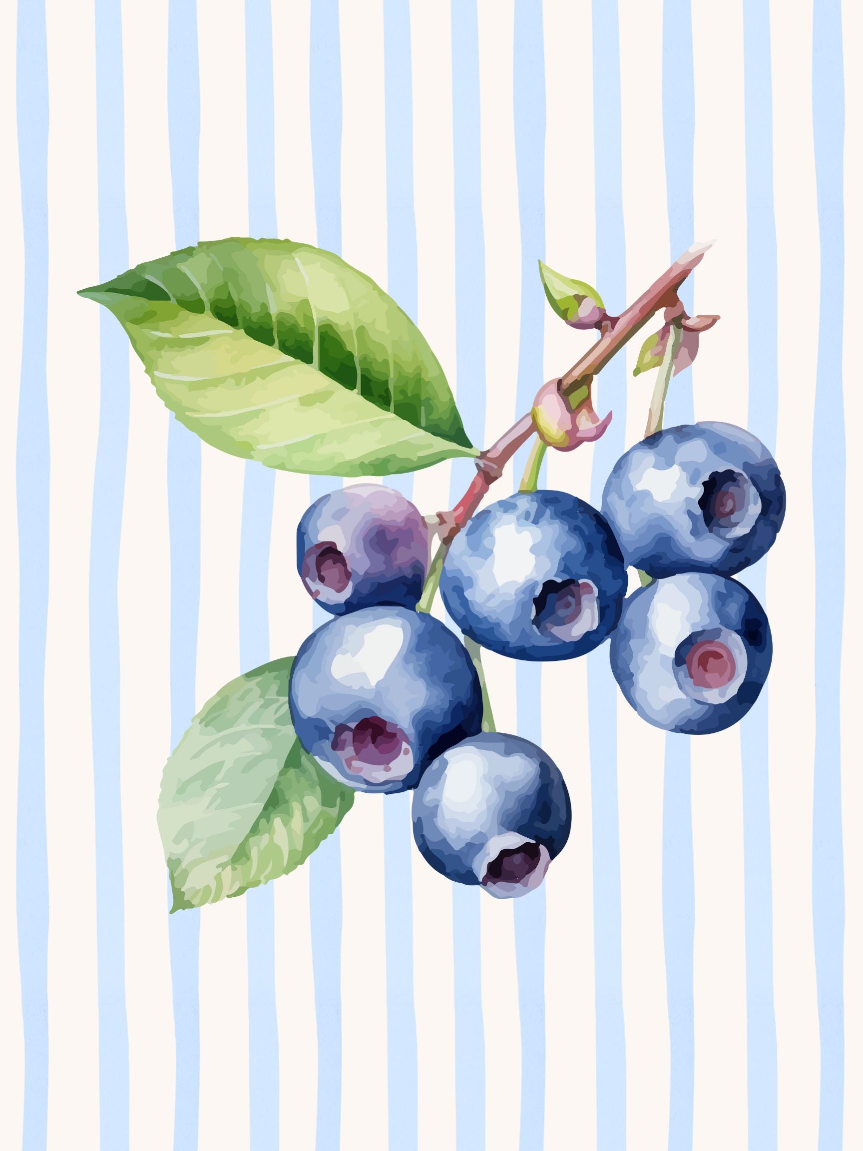 Striped Blueberry Print - Etsy