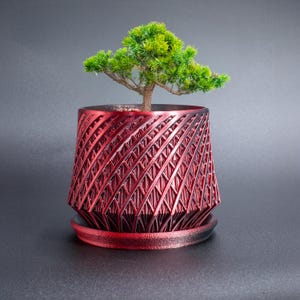 3D Printed Flower Pot with Drip Tray: Modern PLA Planter