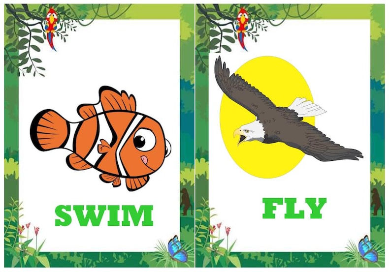 May include: Two educational flashcards with jungle-themed borders. One card features an orange and white cartoon fish with the word "SWIM" in green. The other card shows a flying eagle in front of a yellow sun with the word "FLY" in green.