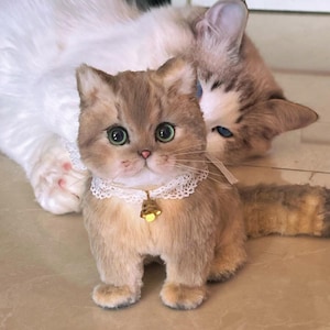 Puede incluir: Un gatito de peluche de color canela con grandes ojos verdes y un collar de encaje blanco con un dije de campana dorada. Otro gato está en el fondo. El gatito está posando sobre una superficie de color claro.