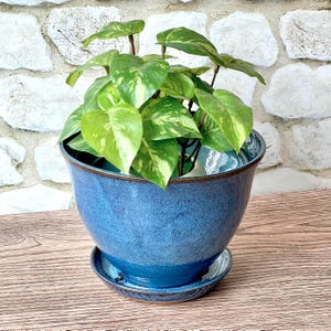 May include: A glossy, deep blue ceramic planter with a matching saucer base. The pot features a rounded, tapered shape with a dark brown rim. A vibrant green and yellow variegated pothos plant with heart-shaped leaves grows from the center.