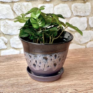May include: A ceramic plant pot with a matching saucer containing a green leafy plant. The pot features a glossy dark brown upper section that transitions into a textured, mottled light gray and blue glaze around the middle and base.
