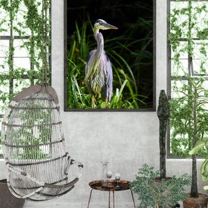 Majestic Great Blue Heron in Natural Habitat - Wildlife Photography Print