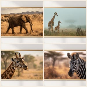 Könnte beinhalten: Vier gerahmte Wildtierdrucke mit afrikanischen Tieren. Die Drucke zeigen einen Elefanten, Giraffen und ein Zebra in ihrem natürlichen Lebensraum. Das Kunstwerk ist vor dem Hintergrund goldener Graslandschaften und eines dunstigen Himmels angeordnet.