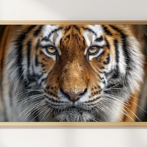 Könnte beinhalten: Nahaufnahme eines gerahmten Drucks mit dem Gesicht eines Tigers. Der Tiger hat orange und schwarze Streifen, mit weißem Fell um das Gesicht und die Schnurrhaare. Die Augen sind goldfarben. Der Rahmen ist hellbraun.