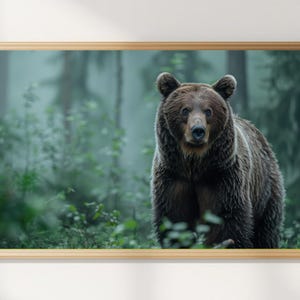 Könnte beinhalten: Ein rechteckiger Wandkunstdruck, der einen Braunbären in einem nebligen, grünen Wald zeigt. Der Bär ist mittig platziert, blickt nach vorne und hat dunkles Fell sowie sichtbare Ohren. Das Kunstwerk ist in einem dünnen, hellen Holzrahmen eingefasst.