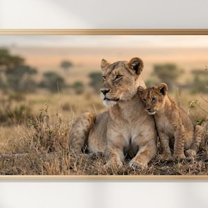 Lioness Wall Art | Lion Cub Print | African Safari Decor | Wildlife Photography | Nature Photo Download | Big Cat Digital Art | Animal Art