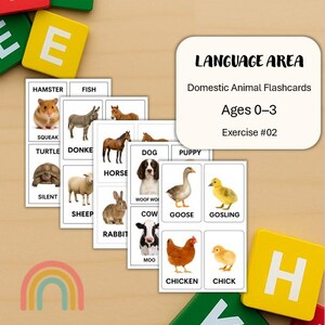 Puede incluir: Tarjetas didácticas para niños de 0 a 3 años con animales domésticos. Cada tarjeta muestra una imagen del animal con su nombre y sonido. Incluye un arcoíris y bloques de letras de colores.